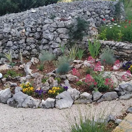 Ela - Three Bedroom With Outdoor Pool St Dracevica